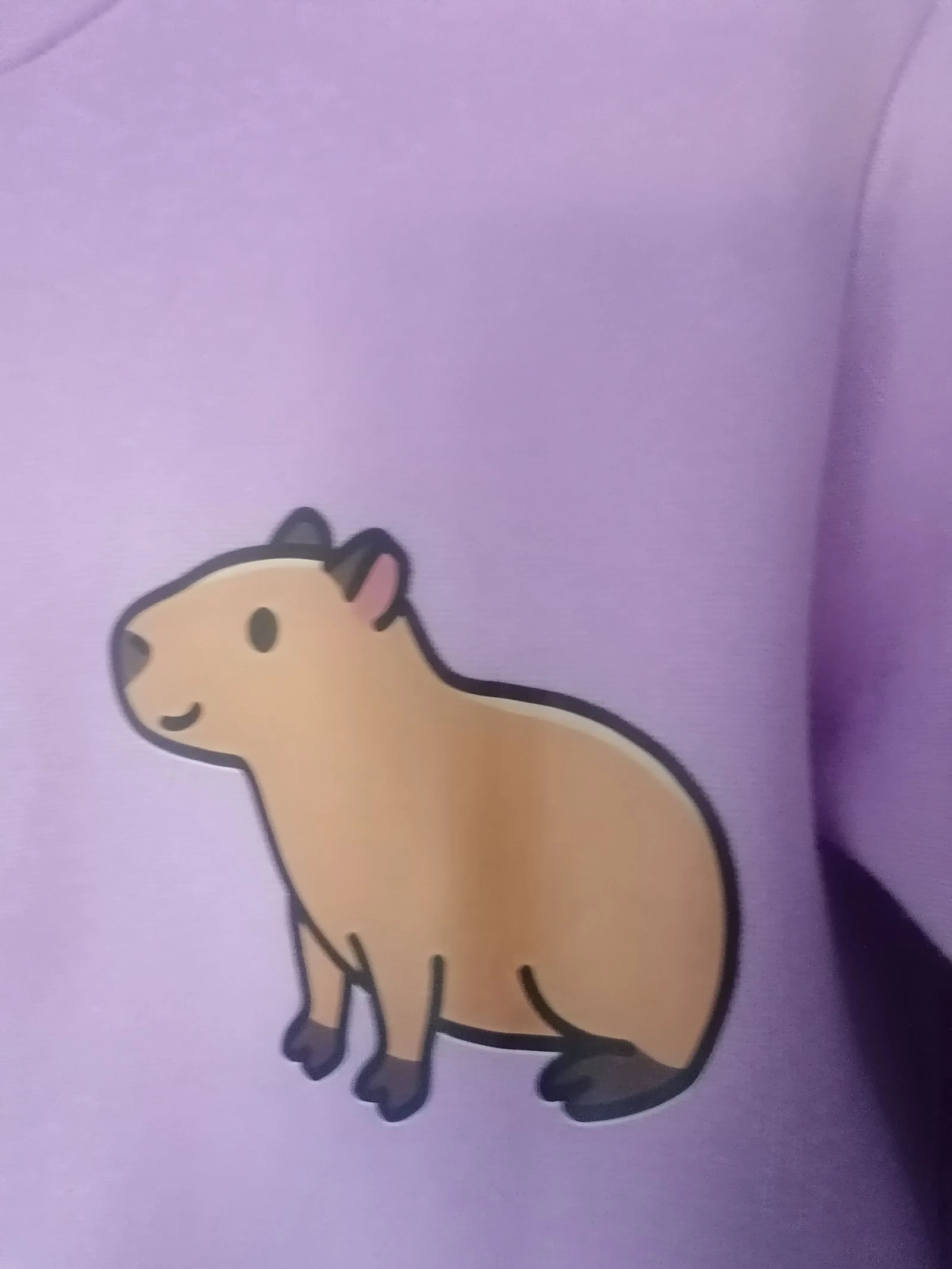 Veste Capybara T 8 - 10 ans 👧🏻 – photo 3